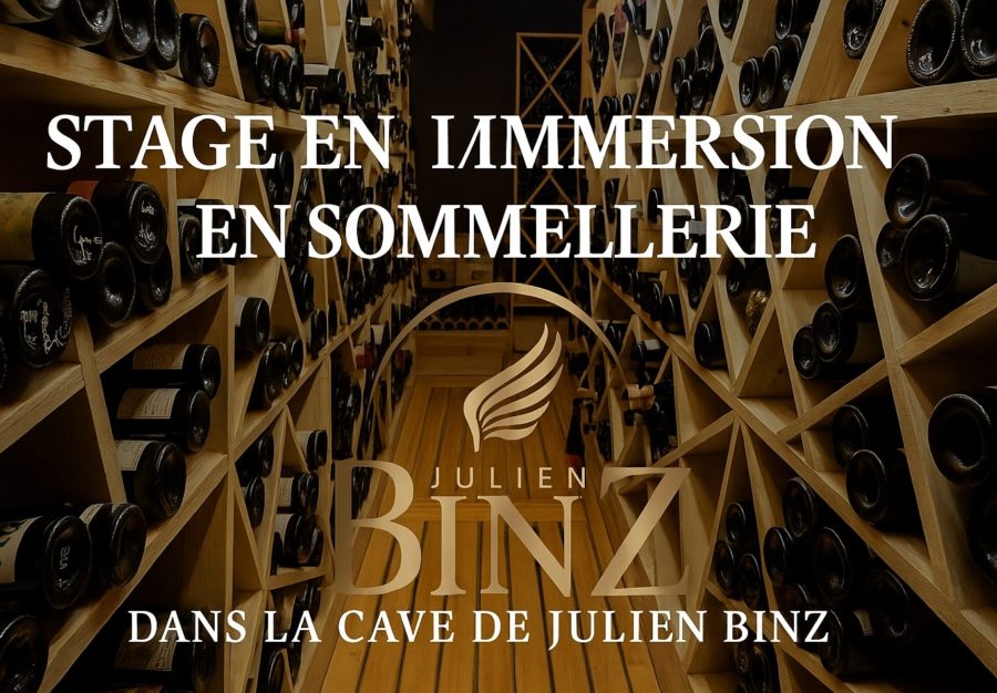 NOUVEAUTÉ stage en Immersion dans la cave du sommelier
